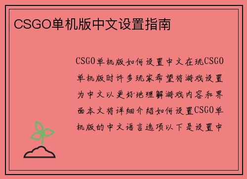 CSGO单机版中文设置指南